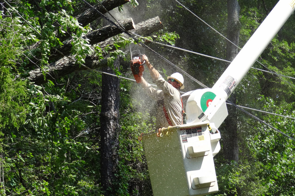 Lineman from Southern Rivers Energy Coop, Barnesville, Georgia helps clear trees from SMECO lines following a storm near Hollywood, Maryland. (Photo by: Southern Maryland Electric Cooperative)