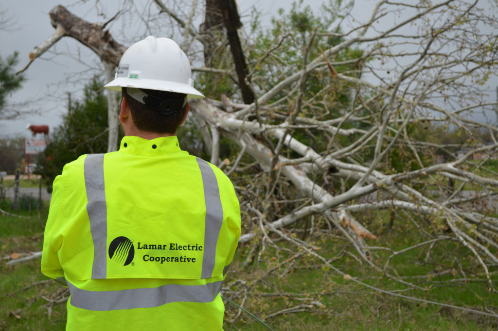 A lineman from Lamar Electric Cooperative surveys tree damage after a storm blew through Red River County, Texas. (Photo by: Lamar Electric Cooperative)