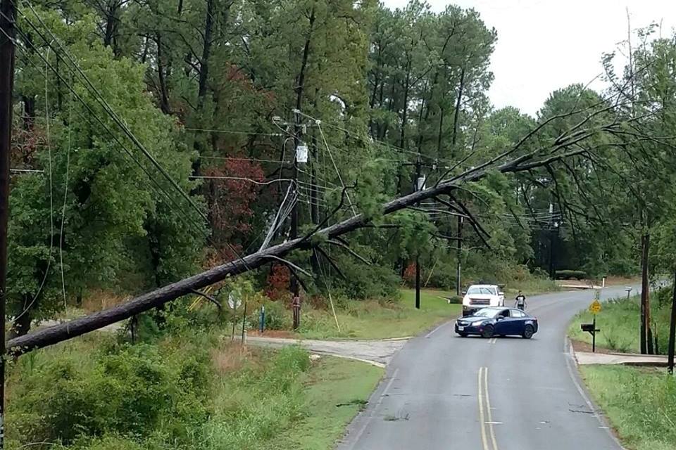 Downed trees and lines are a common sight across parts of Texas as crews work to restore power after Hurricane Harvey, (Photo By: Bluebonnet Electric Co-op)