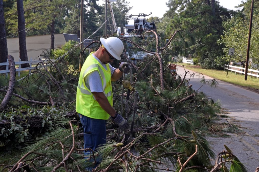 Larry Taylor of Laclede Electric Cooperative helps clear pine tree debris to make way for new lines for Flint Energies following Hurricane Irma.  (Photo By: Jim McCarty/Rural Missouri)