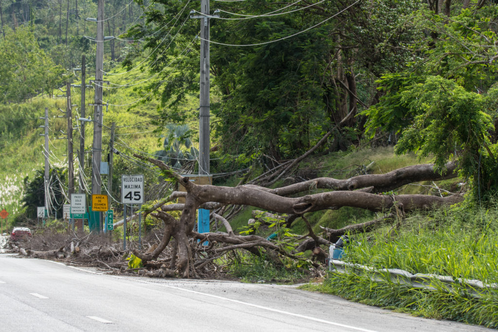 Roadside scene in Puerto Rico after Hurricane Maria shows damage to landscape and power lines. (Photo By: Getty Images/iStockphoto)