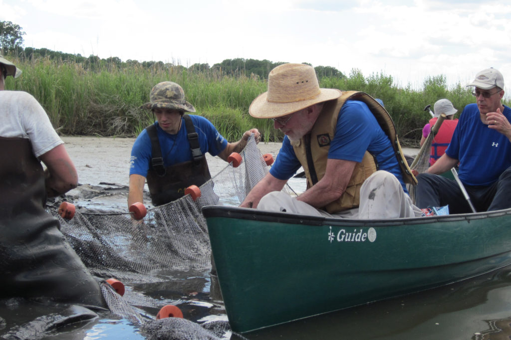 Volunteers from the American Chestnut Land Trust are using donations from SMECO employees to restore habitats on streams flowing into Chesapeake Bay. (Photo By: American Chestnut Land Trust)