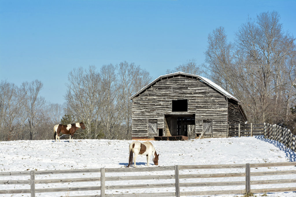 Even on clear days, colder temperatures can lead to more demand for electricity, and electric co-ops are encouraging members to conserve for savings. (Energy Supply) (Photo By: Jim Robertson/ Surry-Yadkin EMC)