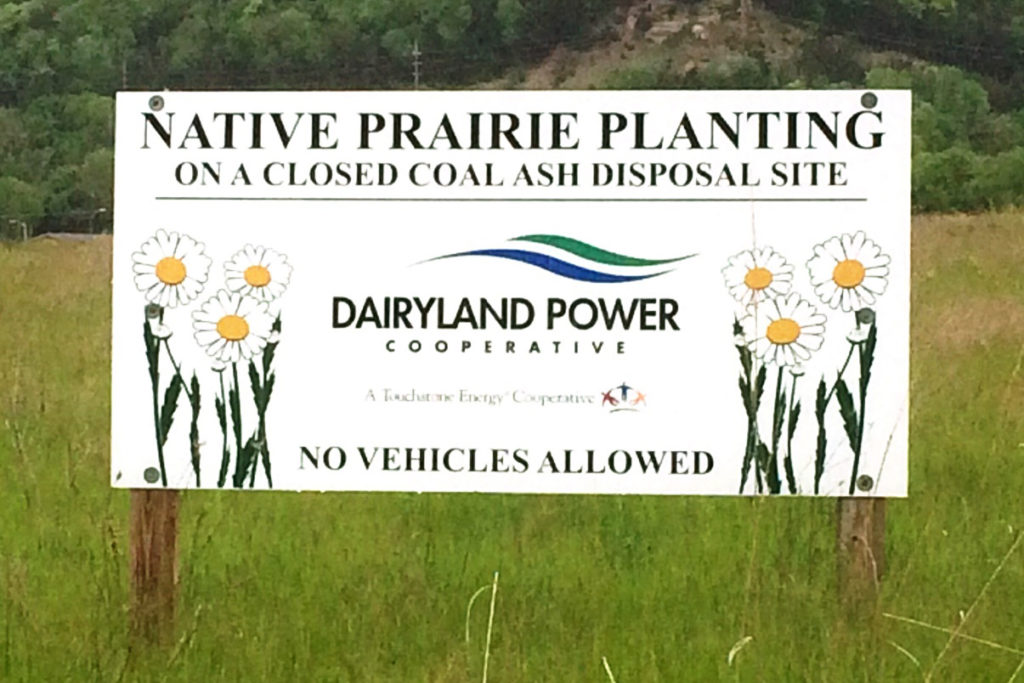 Dairyland Electric Cooperative in La Crosse, Wisconsin, began turning a coal ash site into a native prairie in 1994. (Photo By: Dairyland) 