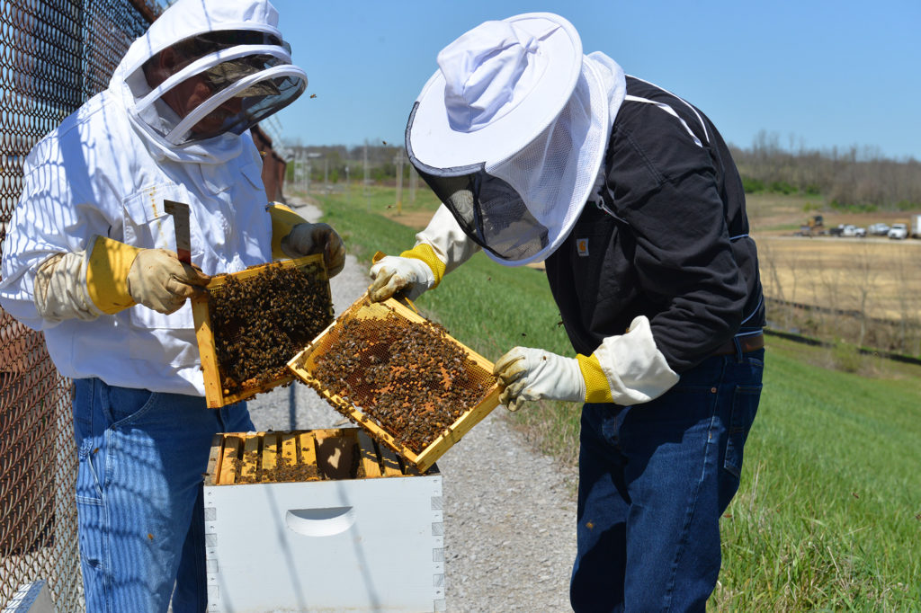 Eddie McNutt (right), EKPC’s director of information technology, and Troy Varner, (left), facilities and security supervisor, check on one of the four hives of honeybees they established on EKPC’s campus in Winchester, Kentucky. (Photo By: EKPC)