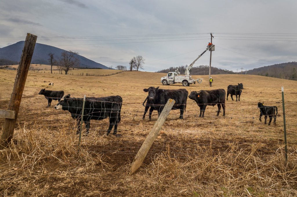 NRECA is urging the House and Senate to reach a compromise Farm Bill that strengthens RUS, rural broadband and other programs critical to electric co-ops and rural America. (Photo By: Preston Keres/USDA)