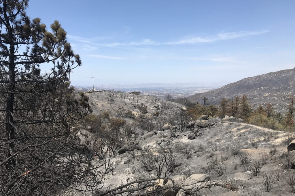The Cranston Fire destroyed more than 100 poles and other electric utility transmission structures serving Anza Electric Cooperative’s territory. (Photo By: California Interagency Management Team)