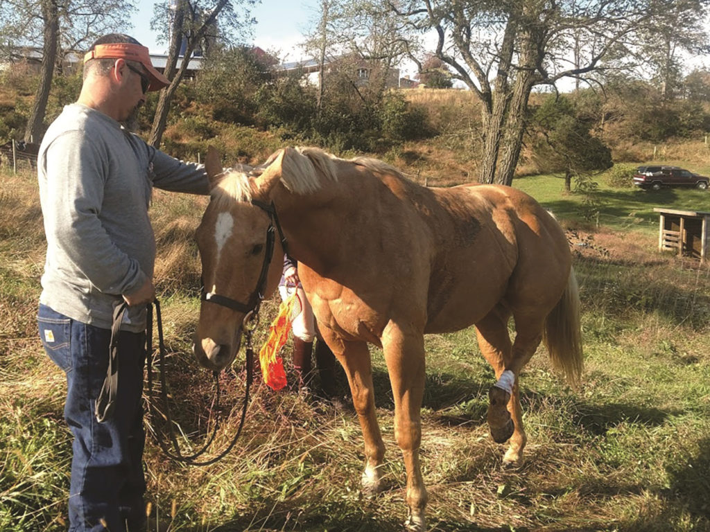 Adams Electric Cooperative’s Cecil Knotts has a passion for motorcycles, but when Zip needed his help, Knotts became a horse whisperer. (Photo By: Elizabeth Anglada)