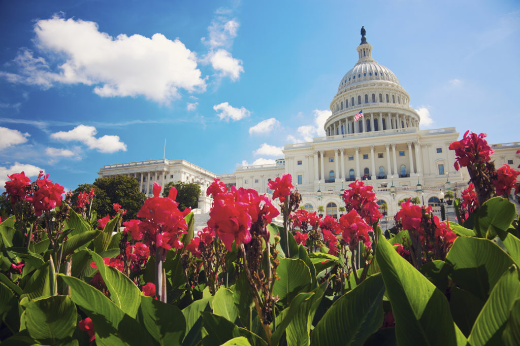 A bipartisan group in Congress has introduced legislation to fix an unintended consequence of the 2017 tax bill, which forces co-ops to choose between taking government grants and losing their tax-exempt status. (Photo By: Henryk Sadura, Getty Images)