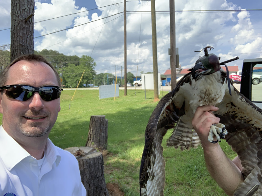 Arab Electric Cooperative CEO Scott Spence helped transport the female osprey to her relocated nest. (Photo Courtesy of Arab Electric Cooperative)