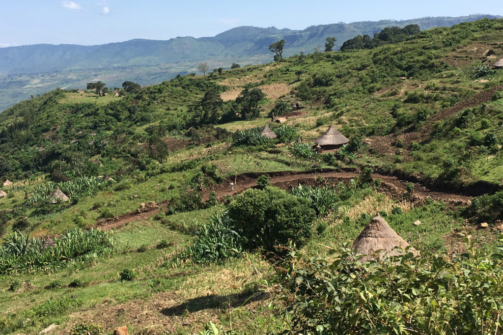 NRECA International is helping form a new electric cooperative in Maji, a farming town in southwest Ethiopia. (Photo by: Caroline Kurtz, Maji Development Coalition)