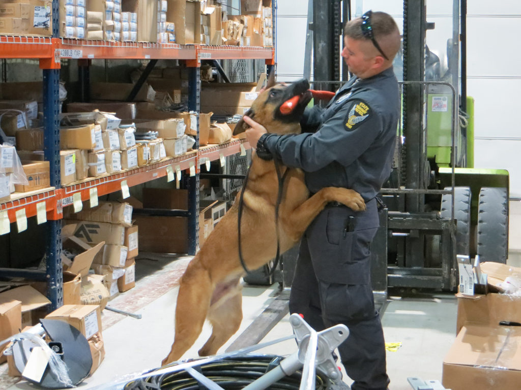 Drug-sniffing German shepherd Rocky and his handler, Ohio State Trooper Tim Markowski, participate in a training exercise at Buckeye REC. (Photo By: Sarah Hill)