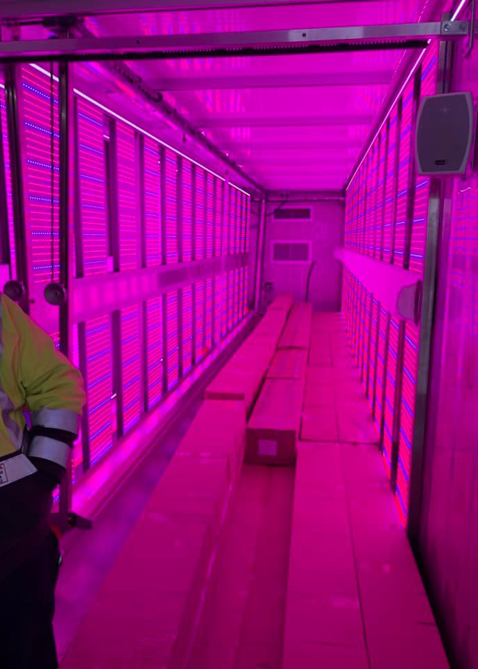 Lighting inside this shipping container is designed to maximize plant exposure to specific wavelengths of red and blue to improve plant photosynthesis and enhance growth of the kale crop. (Photo By: Great River Energy
