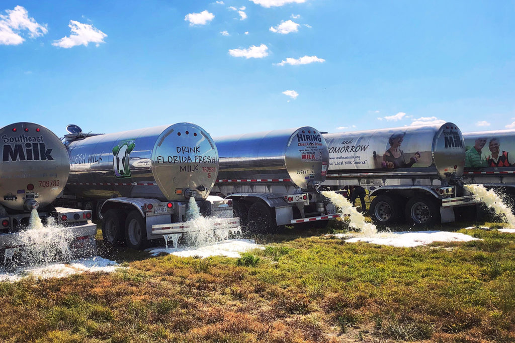 With many dairies across the nation slow to switch production to meet increased retail demand, some dairy farmers have been forced to dispose of surplus milk on their farms. (Photo By: Brittany Thurlow/10-Mile Dairy)