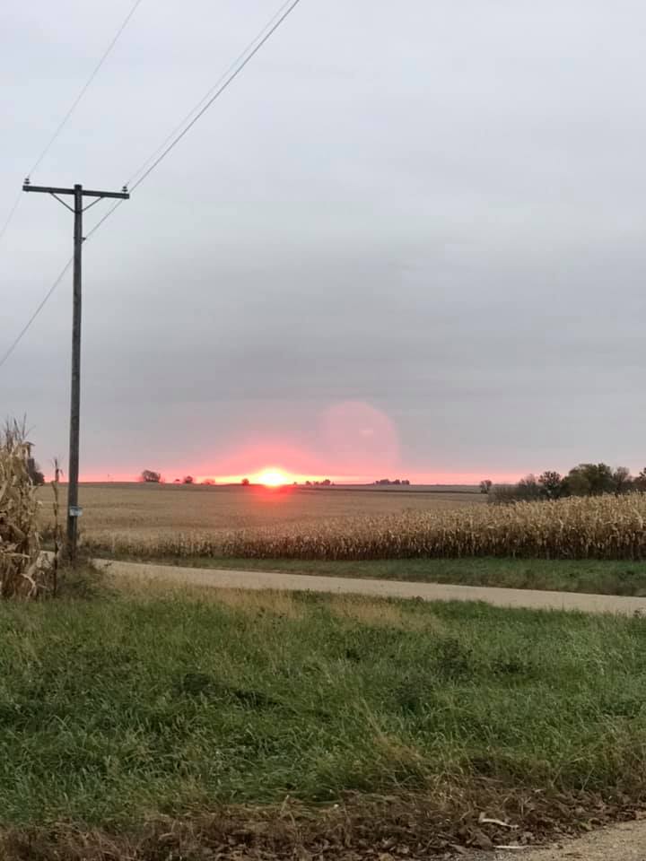 The corn growers who are members of Eastern Illini Electric Cooperative have been hit hard by the pandemic as demand for ethanol has plummeted. (Photo courtesy of Eastern Illini Electric Cooperative)
