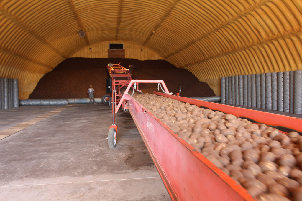 Potatoes remaining from the 2019 harvest season are kept in climate-controlled storage until they are needed for shipment. (Photo By: Colorado Potato Administrative Committee) 