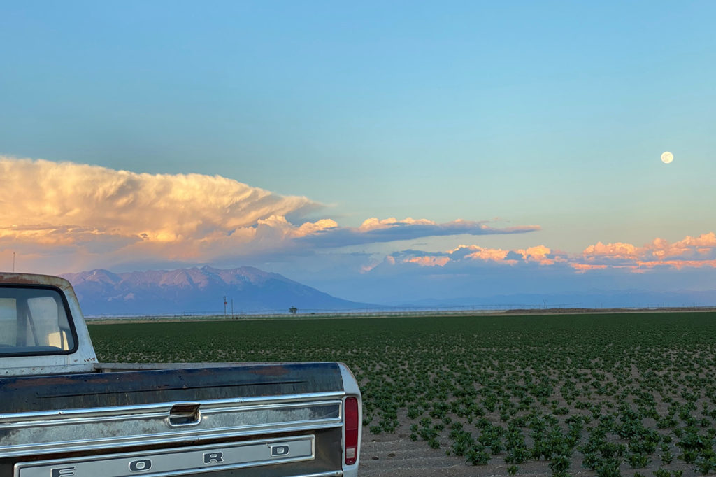 Potato fields in Colorado’s San Luis Valley will be ready for harvest beginning in August, but growers remain uncertain about the market value of their 2020 crops. (Photo By: Scott Wolfe)