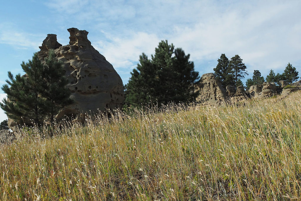 The Cabin Creek Solar project will be built on 1,100 acres in the service territory of Ekalaka-based Southeast Electric Cooperative, near Baker, Montana. (Photo By: Federica Grassi/Getty Images)