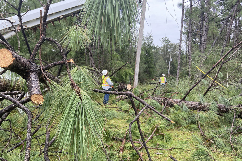 Baldwin EMC and visiting co-op crews are working to restore power amid acres of rural timberland in Alabama. (Photo Courtesy: Baldwin EMC)