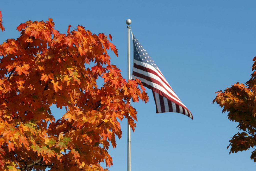 The results of the 2020 presidential and congressional elections could have major impacts on electric cooperatives. (Photo By: Dave Logan/Getty Images)