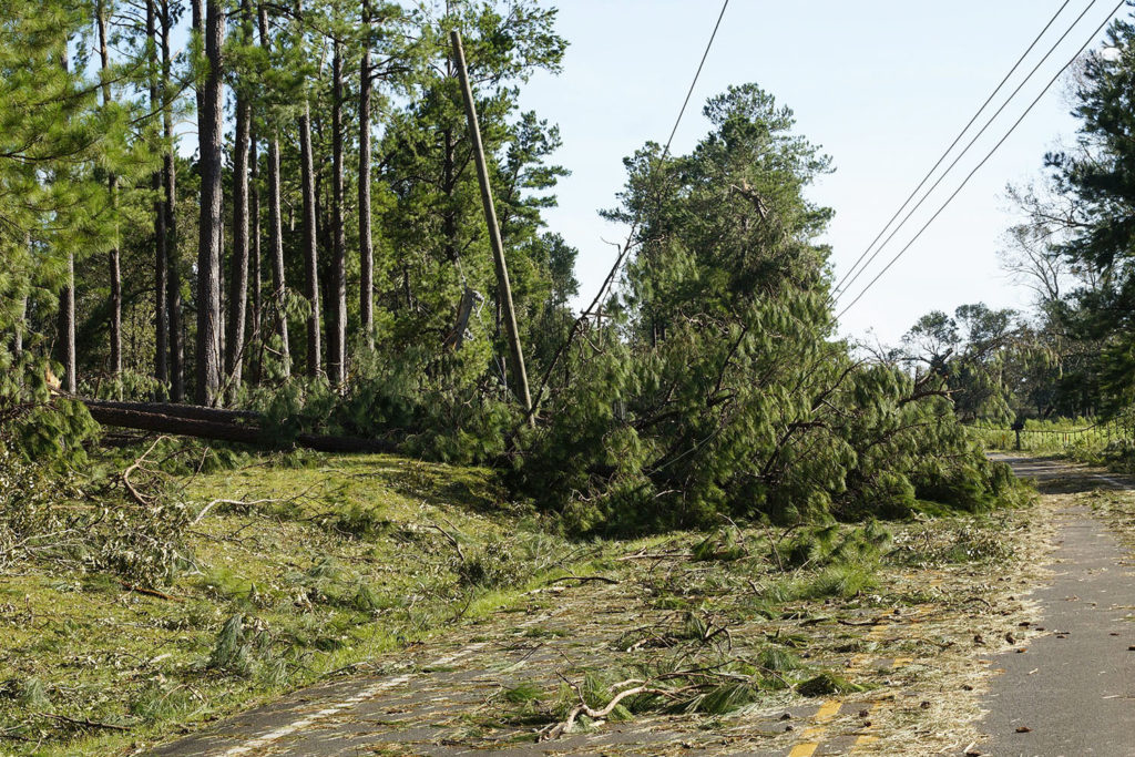Beauregard Electric Cooperative in southern Louisiana faced a total system failure from winds topping 120 mph during Hurricane Laura. (Photo By: Beauregard EC)