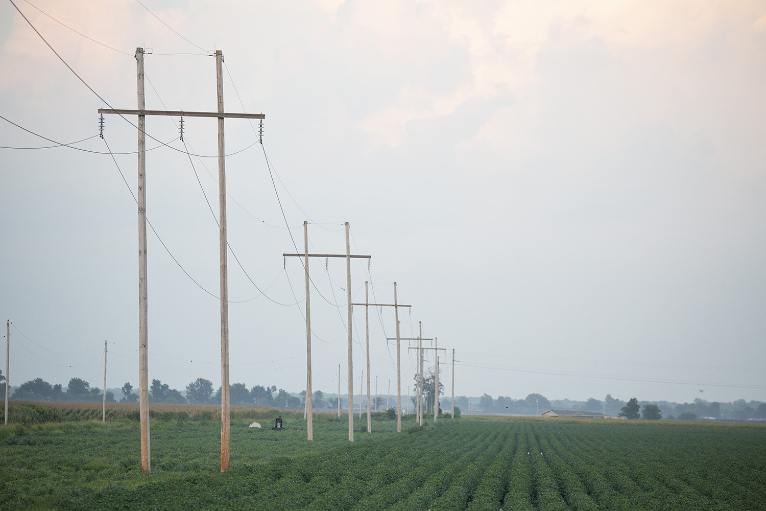 Georgia Co-op Pole Attachment Fee Lifts Rural Broadband Barrier