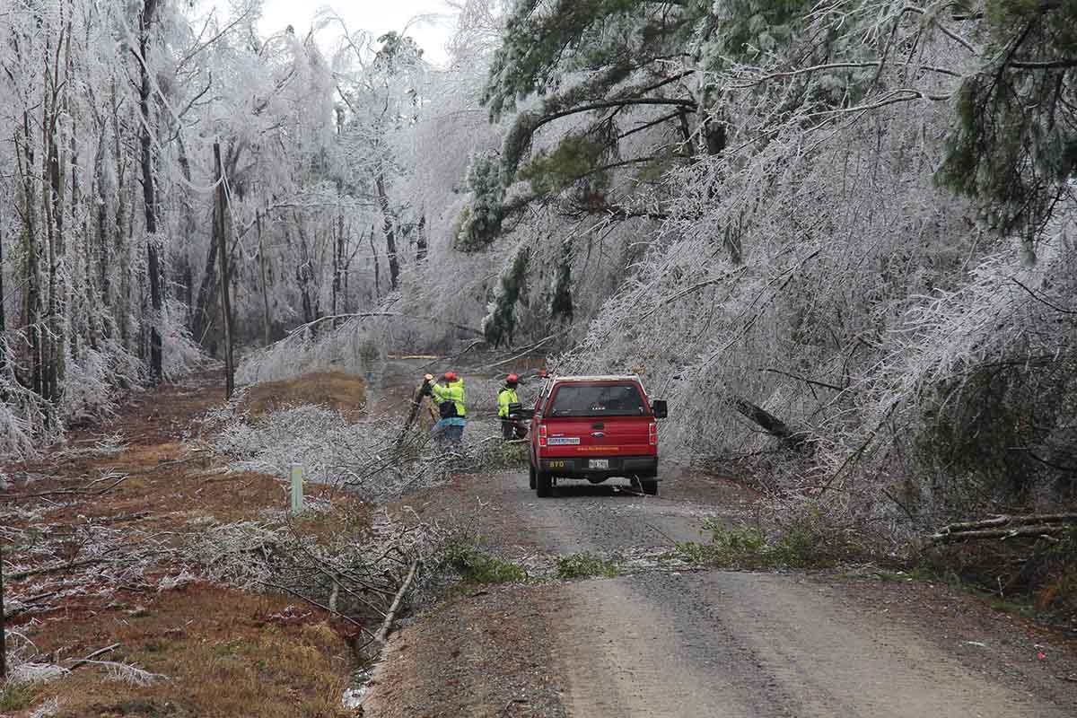 Coops, State Officials Tackle Disasters in Tabletop Exercise America