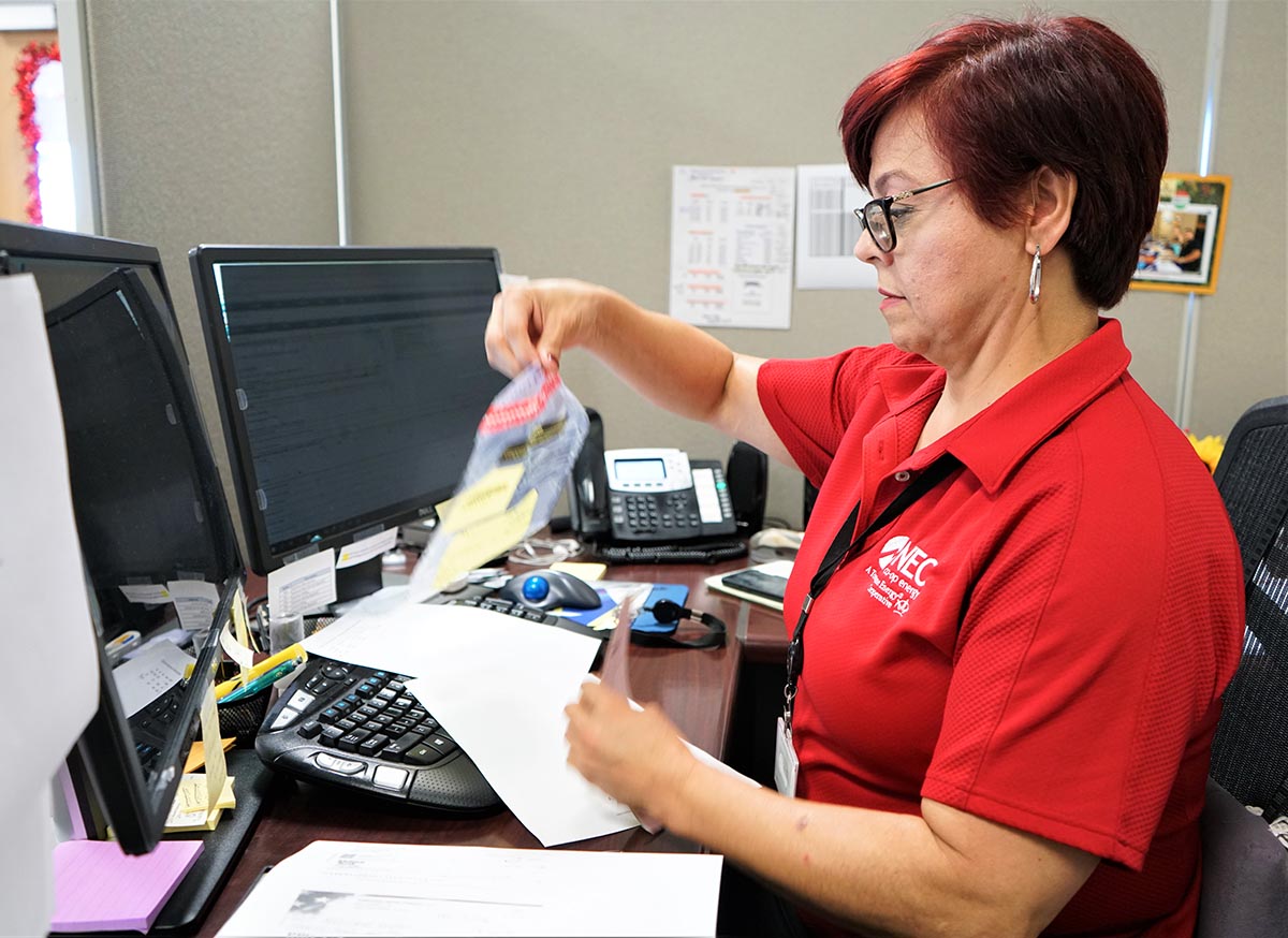 Coop's Retail Choice Plan Wins Fans in Texas Power Market America's Electric Cooperatives