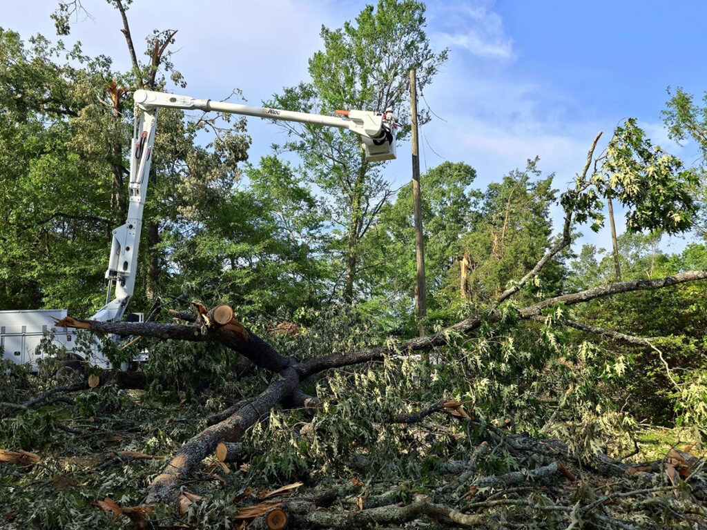 ‘Gutted’: Line Crews Rebuild Systems in Wake of Louisiana Tornadoes